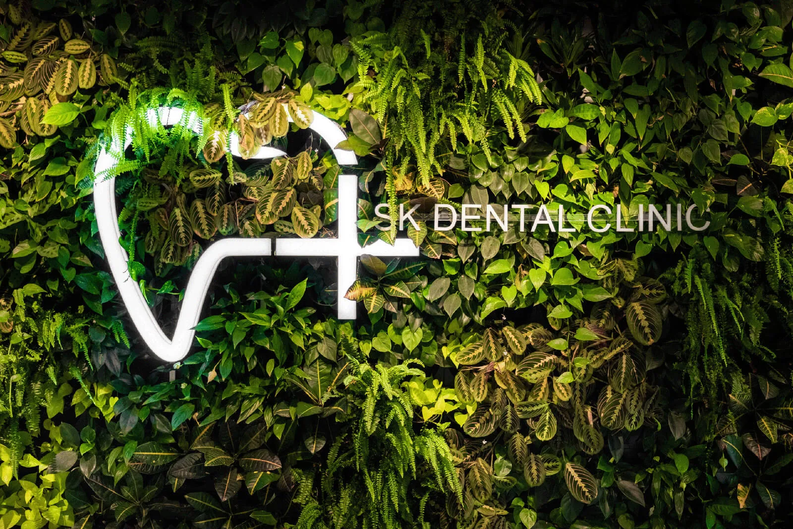 SK Dental Clinic Žilina